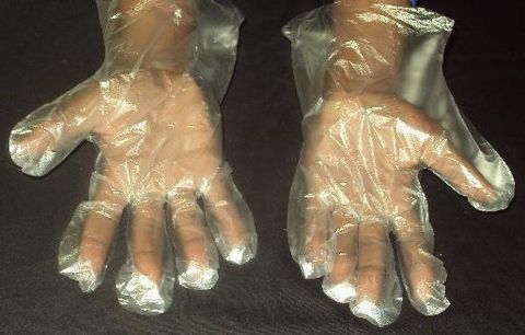 Disposable Plastic Gloves Pack 100