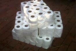 1Ply and 2 Ply Toilet Paper U/W Bale 48